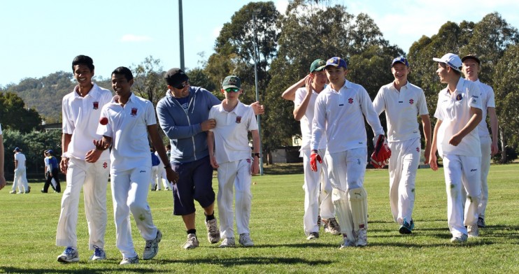 Cricket Webpage Image - Option 1